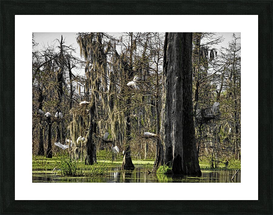 ROOKERY Picture Frame print