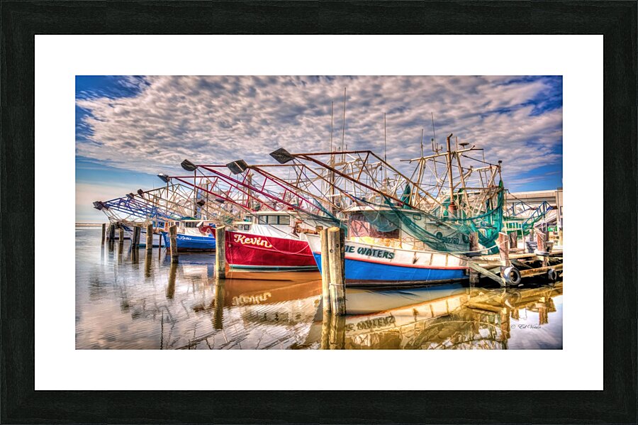 SKIMMERS Picture Frame print