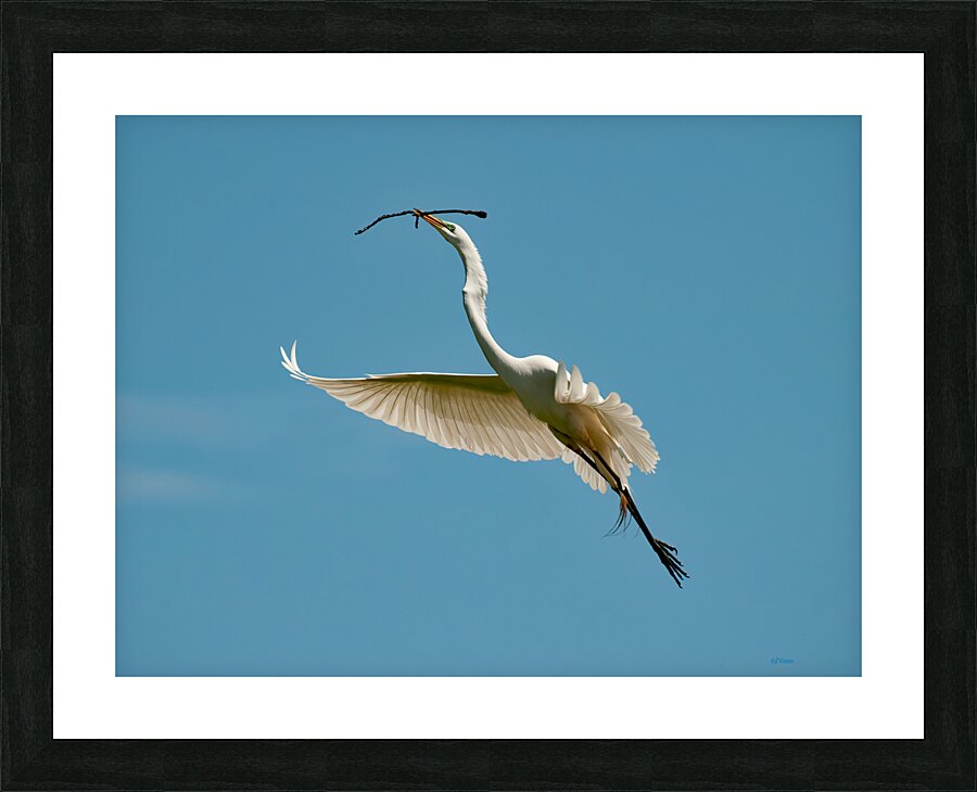 PERFECT BALANCE Picture Frame print