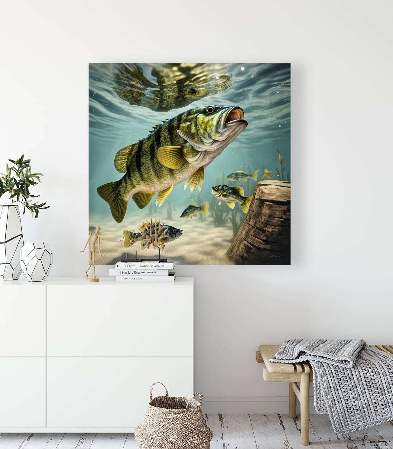 REFLECTION Reproduction