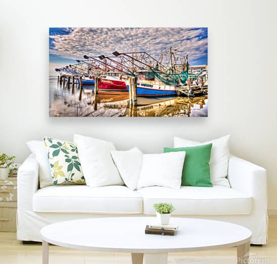 SKIMMERS Reproduction