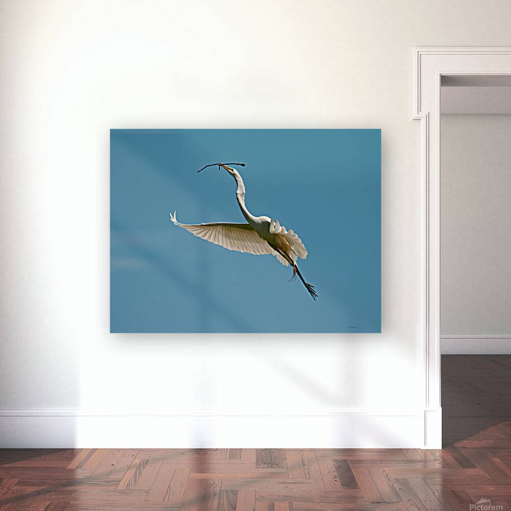 PERFECT BALANCE Reproduction