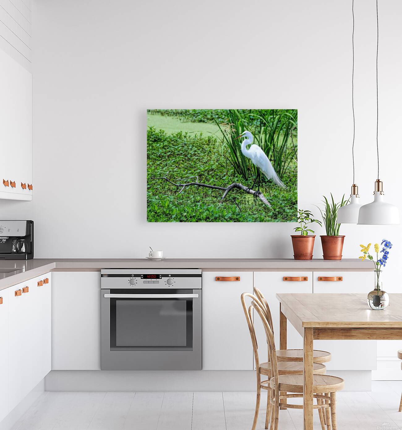 GREAT EGRET Reproduction