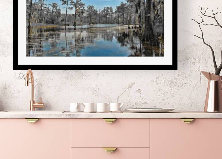 DOWN ON THE BAYOU II by Digicam