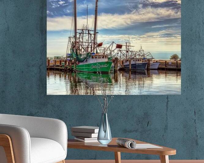 SAFE HARBOR Reproduction