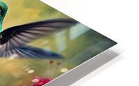 HUMMINGBIRDS HD Metal print