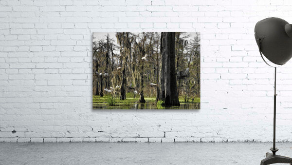 ROOKERY Wall Preview