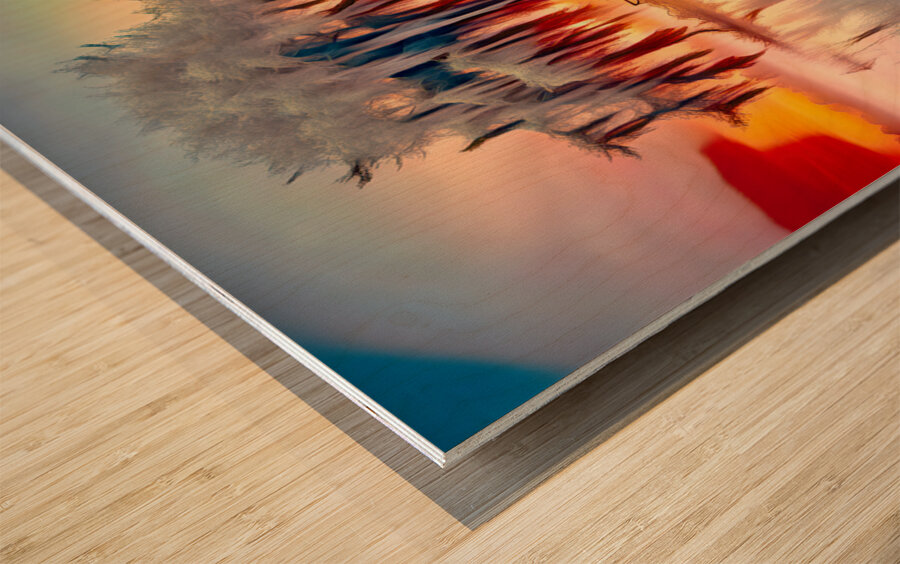 FLOATER......VELVET ABSTRACT Wood print