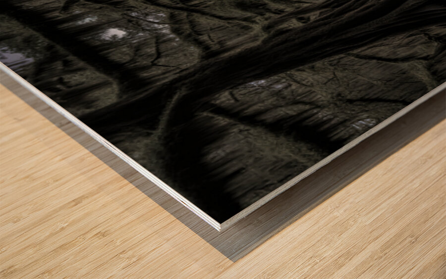 CHRISTMAS IN THE SWAMP Wood print