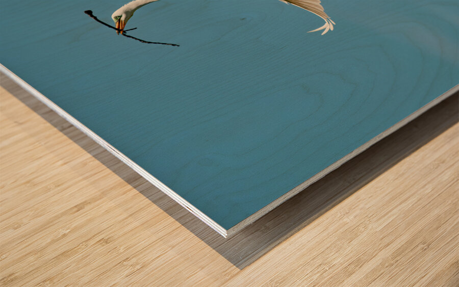 PERFECT BALANCE Wood print