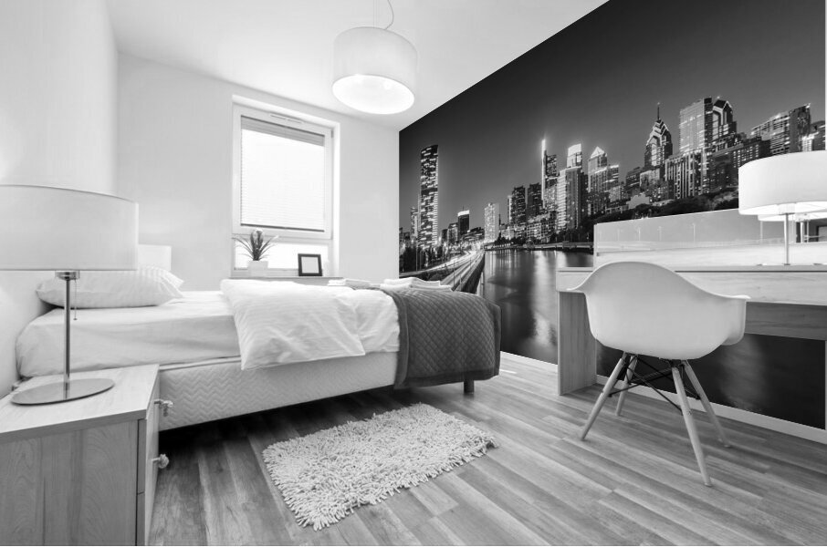 Dynamic Philadelphia | Monochrome Mural print