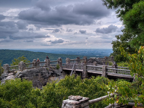 I Can See Clearly Now Digital Download