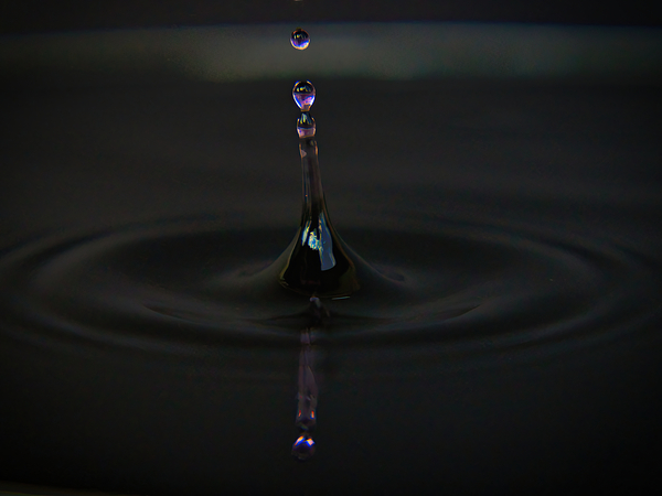 Purple Drop Digital Download