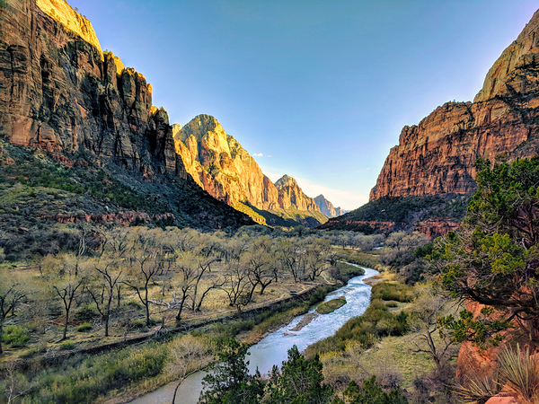 Zion Digital Download