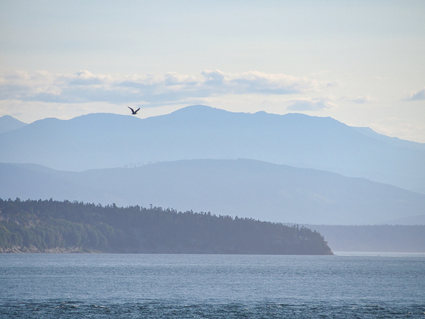 Layers of Blue Digital Download