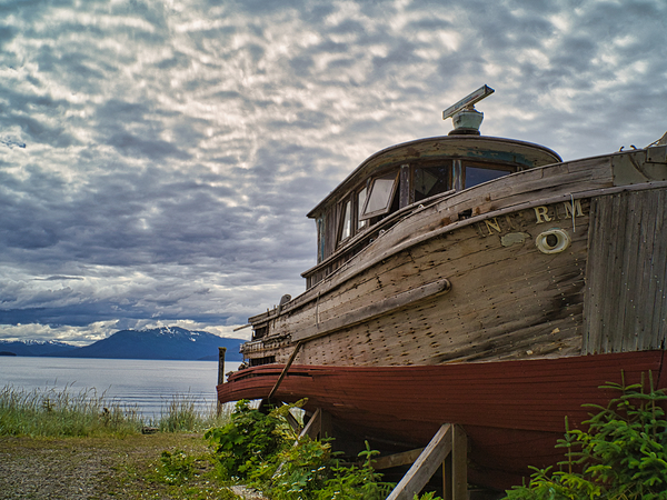 Decay Digital Download