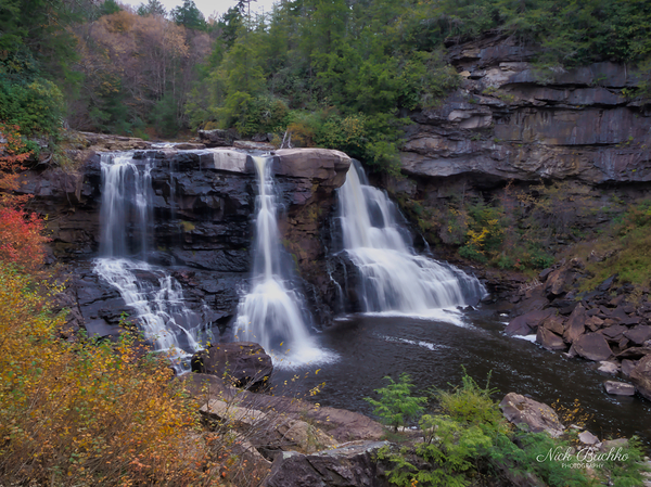 Blackwater Falls from the Canyon Floor Digital Download
