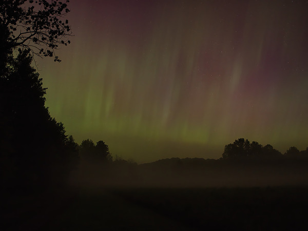 Northern Lights Digital Download