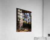 Light Fall Impression acrylique