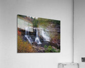Blackwater Falls from the Canyon Floor Acrylic Print
