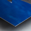 Wingspan Metal print