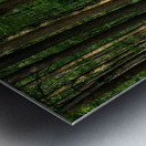 The Mystical Pathway Metal print