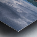 I Can See Clearly Now Metal print