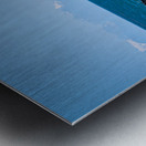 Whale Tale Metal print