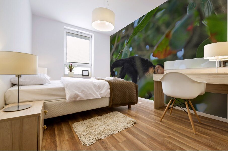 Havent You Always Wanted A Monkey  Mural print