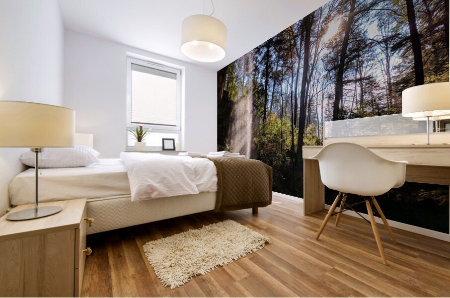 Light Fall Impression murale