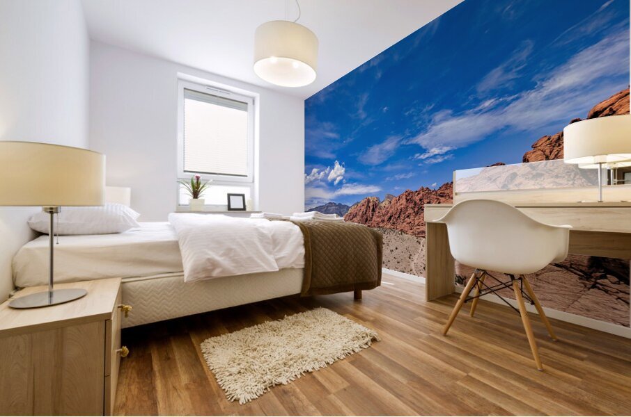 Red Rocks Mural print