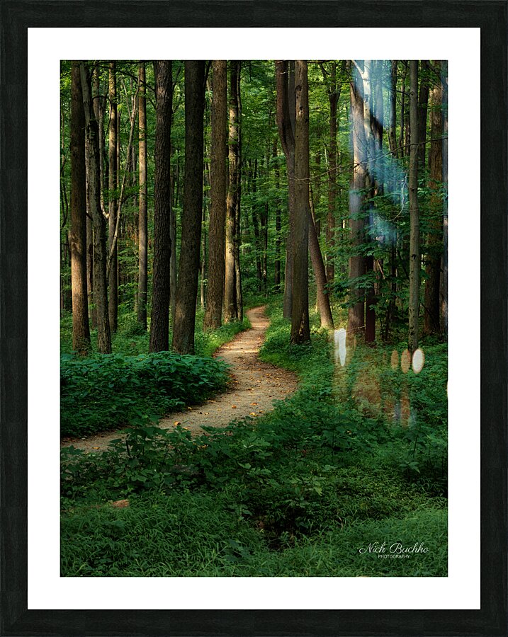 The Mystical Pathway Picture Frame print