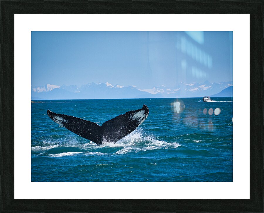 Whale Tale Picture Frame print