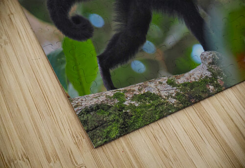 Havent You Always Wanted A Monkey  Buchko Photography puzzle