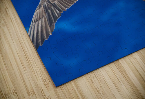 Wingspan Buchko Photography puzzle