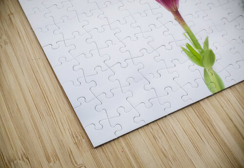 The Majestic Lily Buchko Photography puzzle