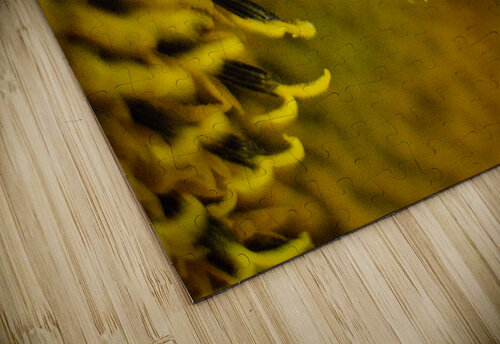 Yellow Buchko Photography puzzle