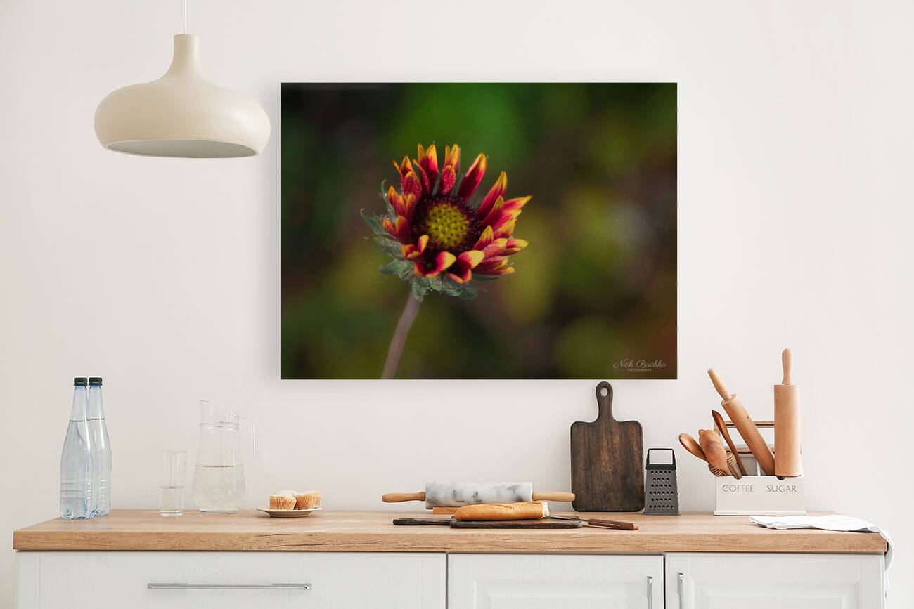 A Burst of Color Reproduction