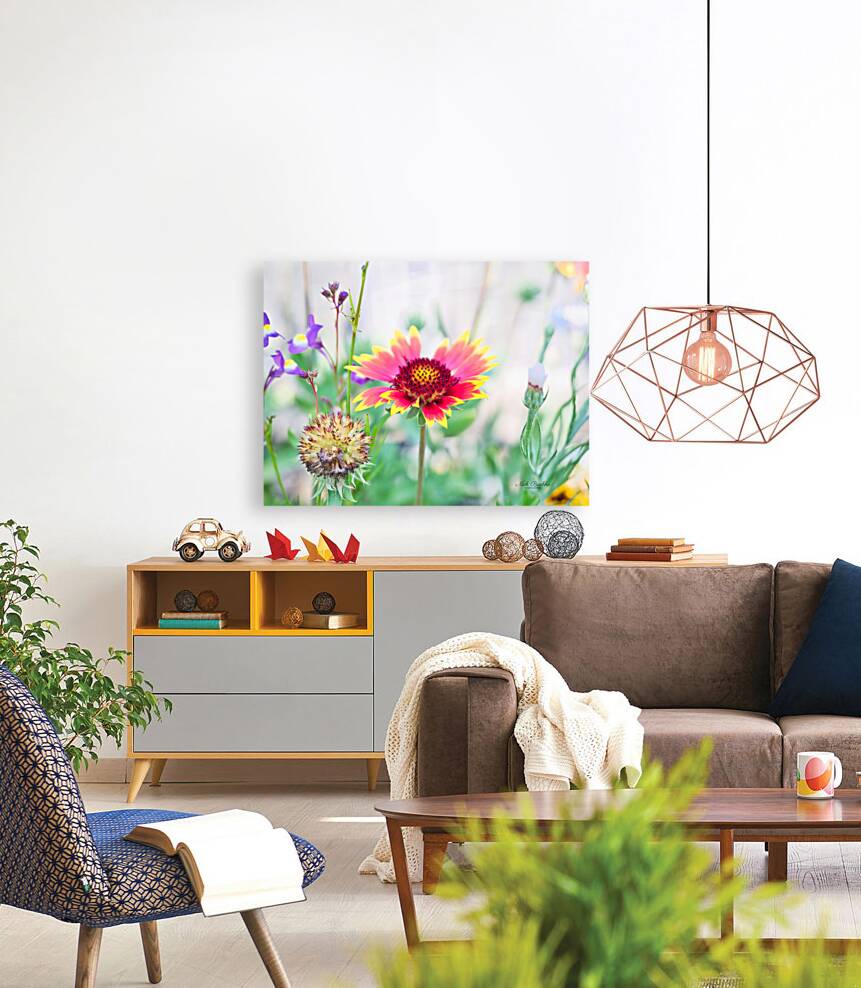 An Indian Blanket Gracing the Garden Reproduction