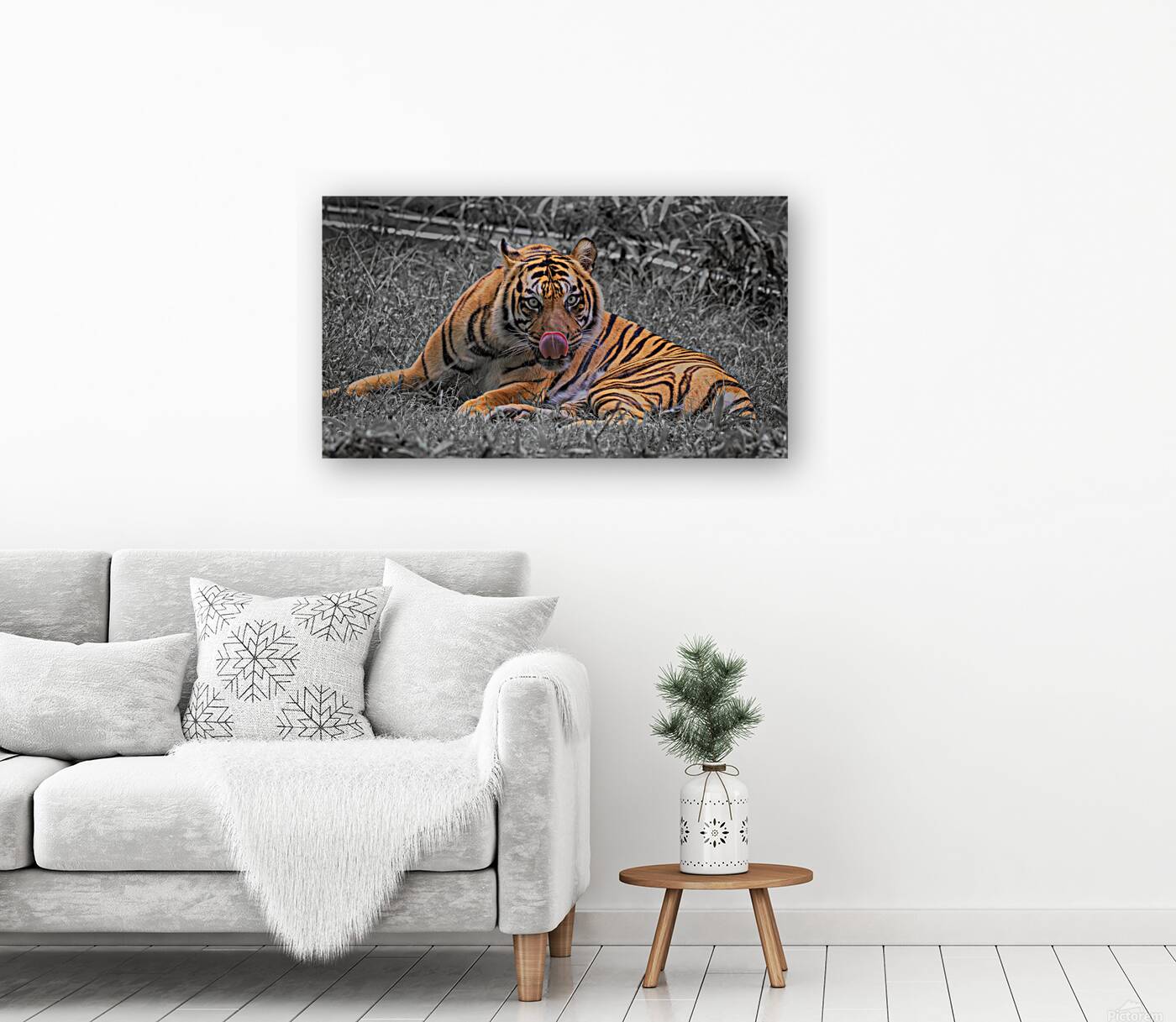 tiger bw Reproduction