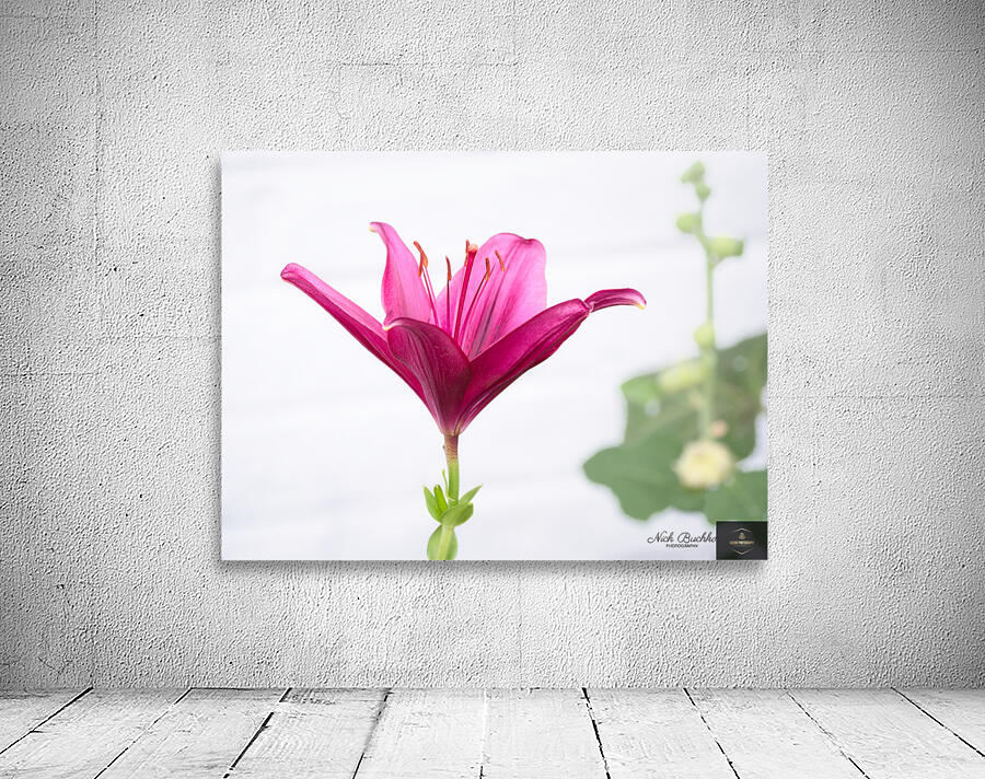 The Majestic Lily Wall Preview