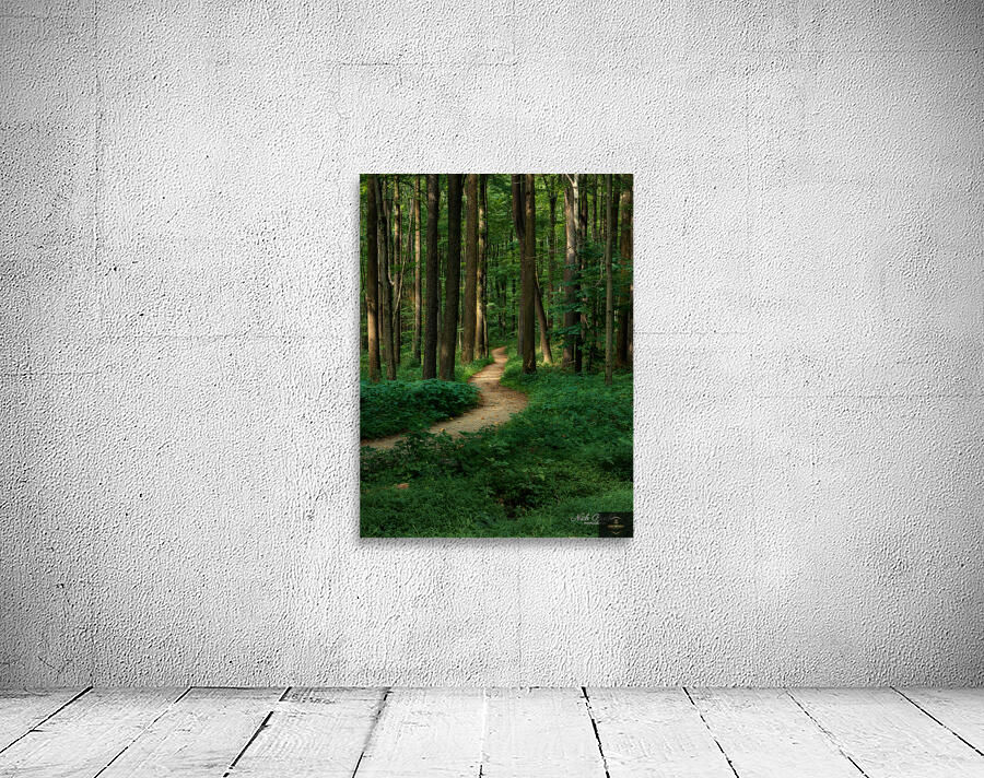 The Mystical Pathway Wall Preview