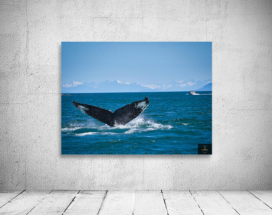 Whale Tale Wall Preview