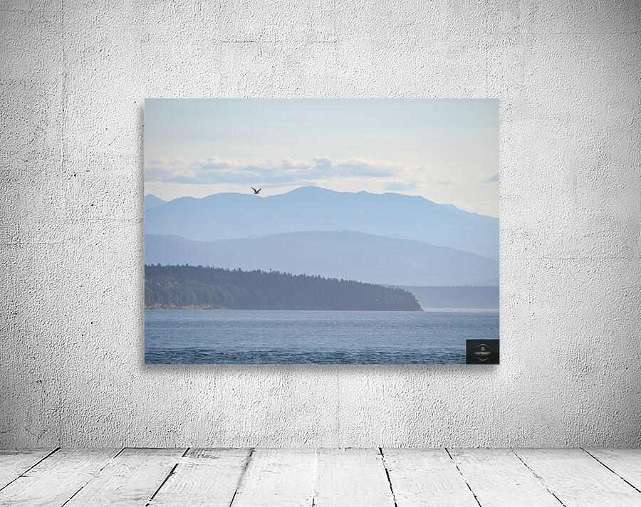 Layers of Blue Wall Preview