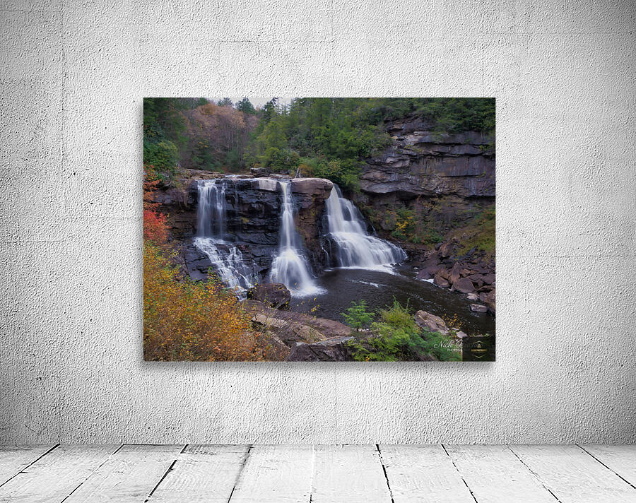 Blackwater Falls from the Canyon Floor Wall Preview