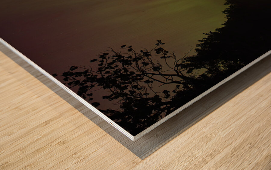 Northern Lights Wood print
