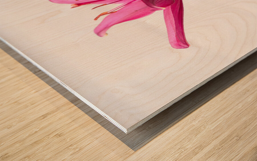 The Majestic Lily Wood print