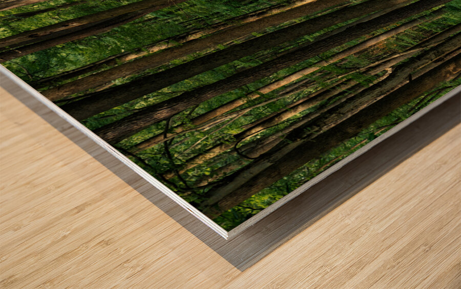 The Mystical Pathway Wood print