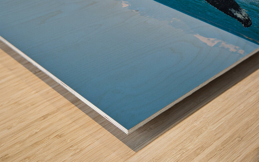 Whale Tale Wood print