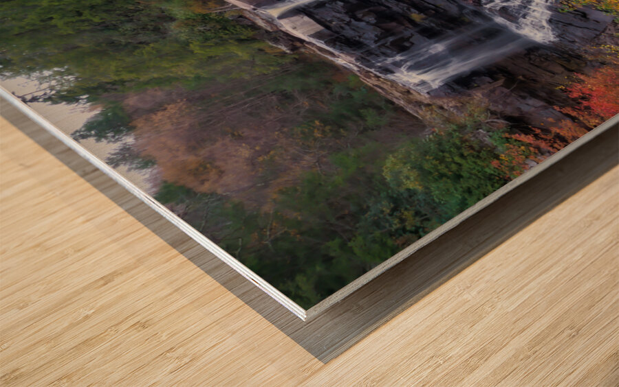 Blackwater Falls from the Canyon Floor Wood print